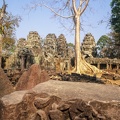 Ta Prohm temple at Angkor Wat complex in Siem Reap